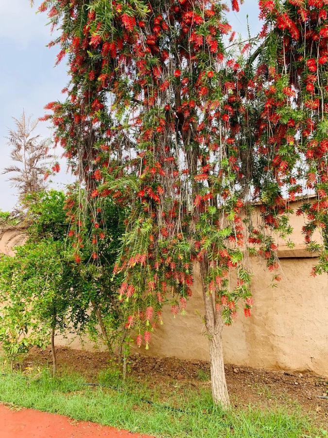 Villa Yanii Siin Marrakesh Exterior photo